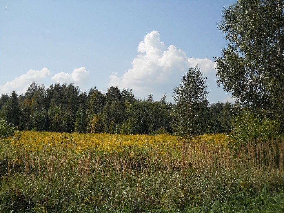 Pozostałe, Uroczysko. Fotoreportaż :) - Zwyciężył rozsądek oraz intuicja - trza zacząć zmierzać w kierunku auta.