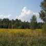 Pozostałe, Uroczysko. Fotoreportaż :) - Zwyciężył rozsądek oraz intuicja - trza zacząć zmierzać w kierunku auta.