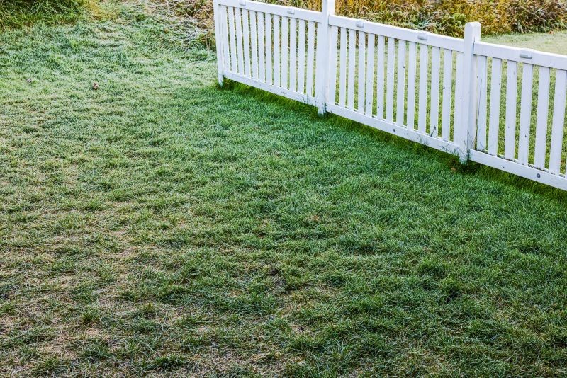 Luty to dobry czas na wapnowanie trawnika.