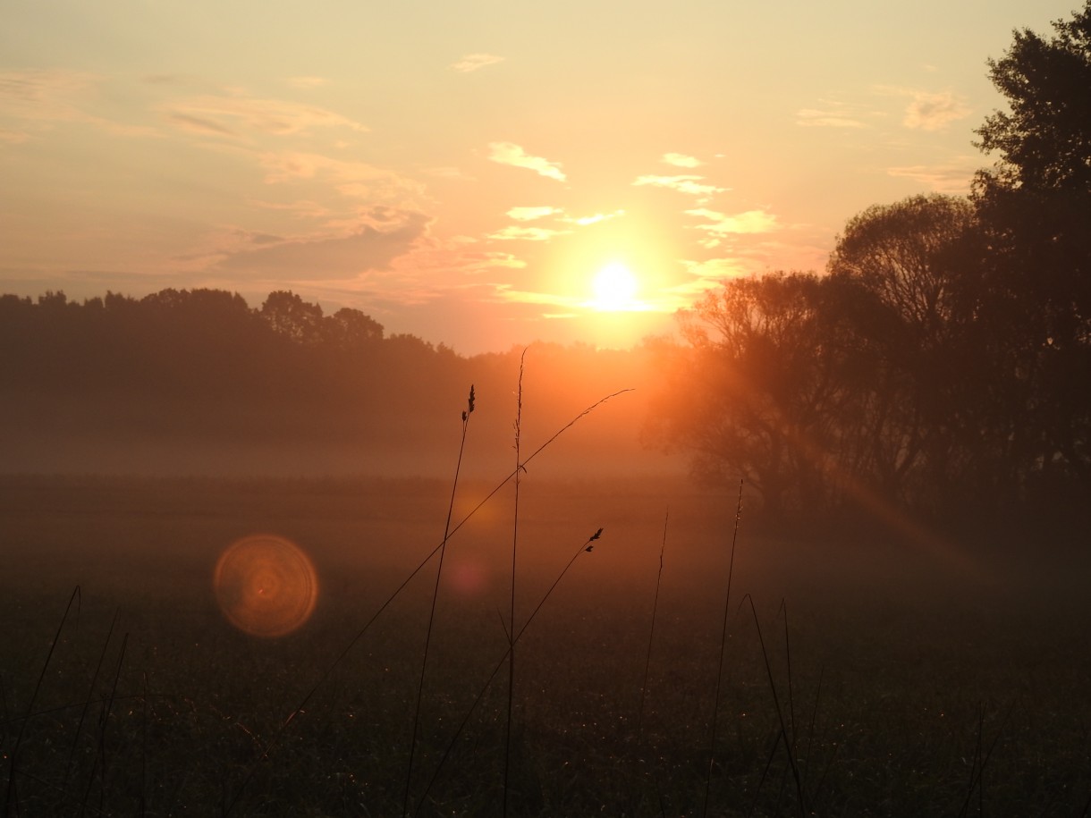 Leśne klimaty, WRZEŚNIOWY PORANEK :)