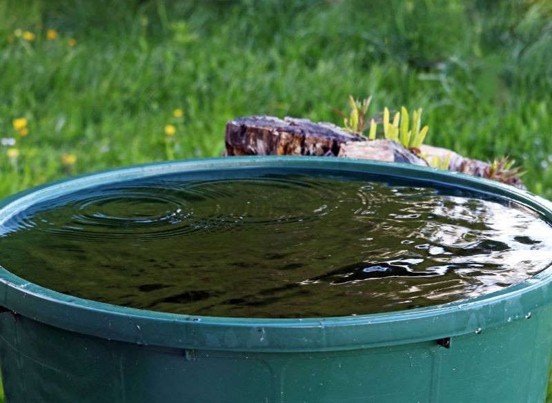 Studnia chłonna pomaga pozbyć się nadmiaru wody z działki. Fot. CanvaPro