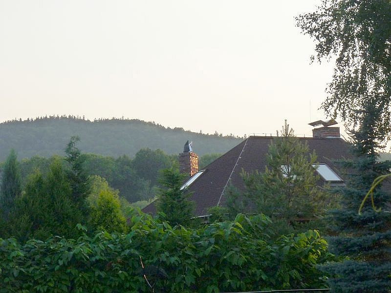 Rośliny, Pod Kopą Biskupią