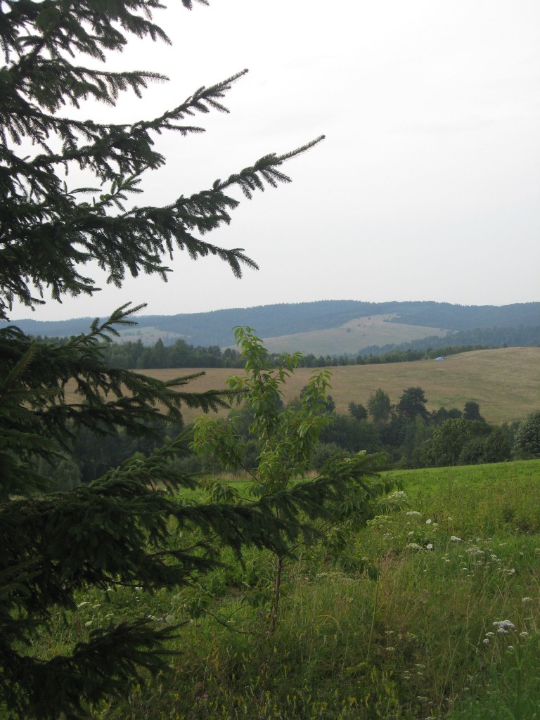 Pozostałe, Z cyklu cudze chwalicie... Bieszczady w moim obiektywie...