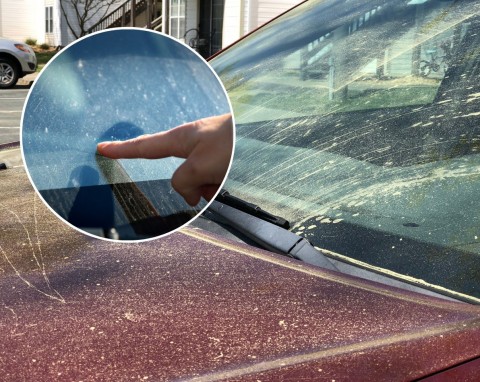 Żółty pył na oknach, parapetach i samochodach. Co to jest i czy jest szkodliwy?