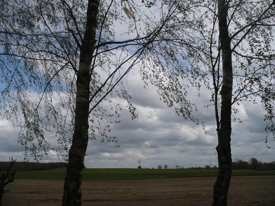 Pozostałe, Wsi spokojna .............. - .............chwilami było pochmurnie..............