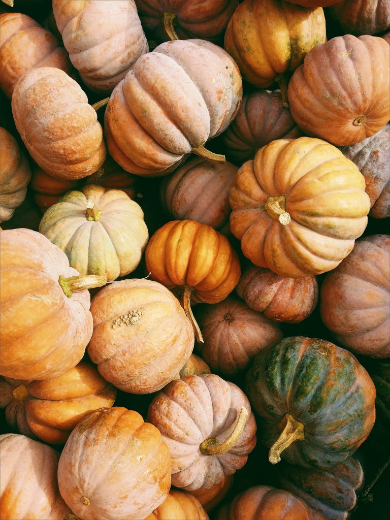 Dekoracje, Pumpkin Time