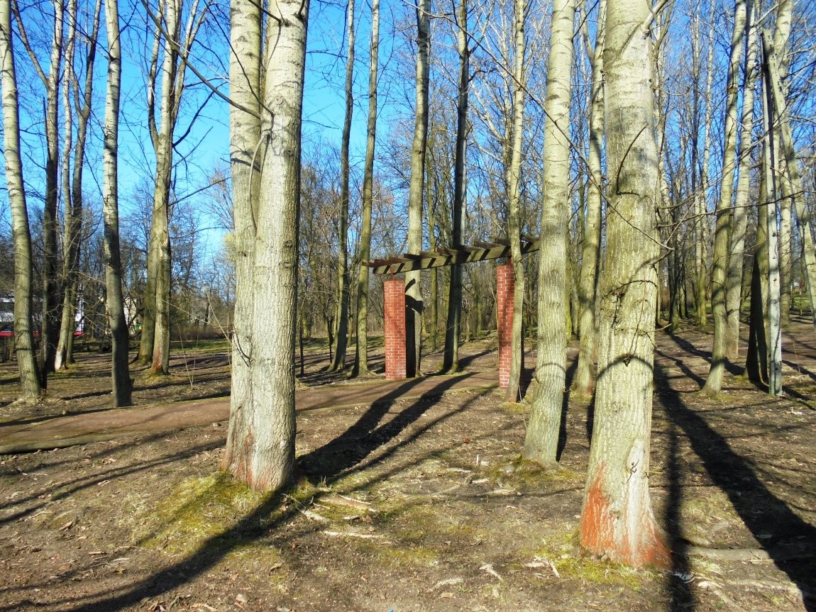 Leśne klimaty, WIOSENNIE  W  NATURZE