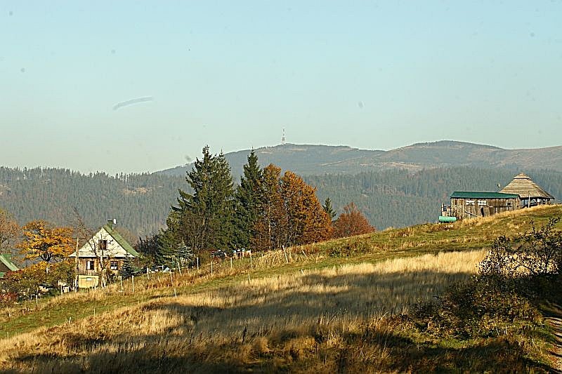 Pozostałe, Góralskie lasy