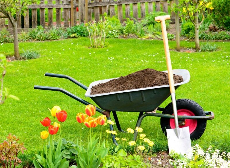 Zanim posadzimy rośliny, zadbajmy o glebę w miejscu, w którym zakładamy rabatę.