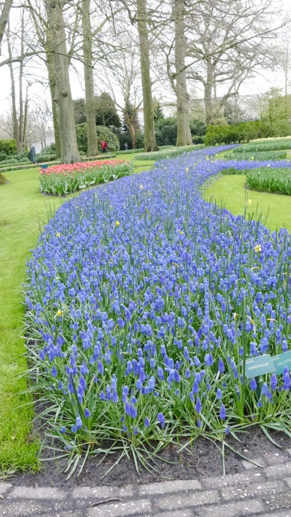 Pozostałe, Keukenhof