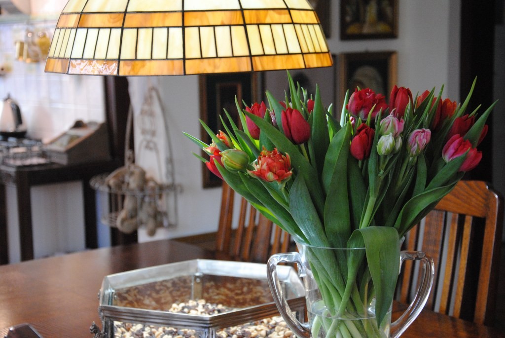Przedpokój, Wiosno przybywaj :) - ...i marcowe tulipany :) tym razem różne gatunki i rózne kolory ,tak na przekór temu co za oknem