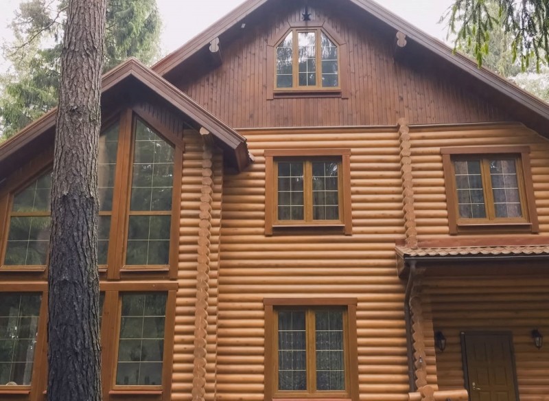 jakich drzew nie sadzić obok domu