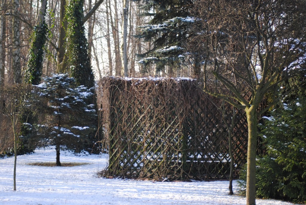 Pozostałe, Na powitanie Nowego Roku :) - :)