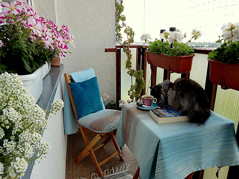 Balkon, Lipcowy chillout na balkonie - Nikita musi sprawdzić...