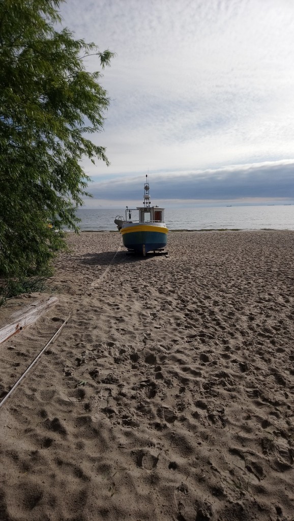 Rośliny, Pelargonie , piwonie , róże i.......sznurki................... - ................i kuter na plaży................