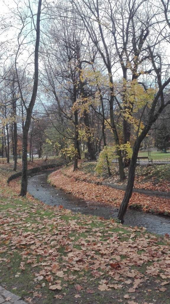 Podróże, Listopadowy park