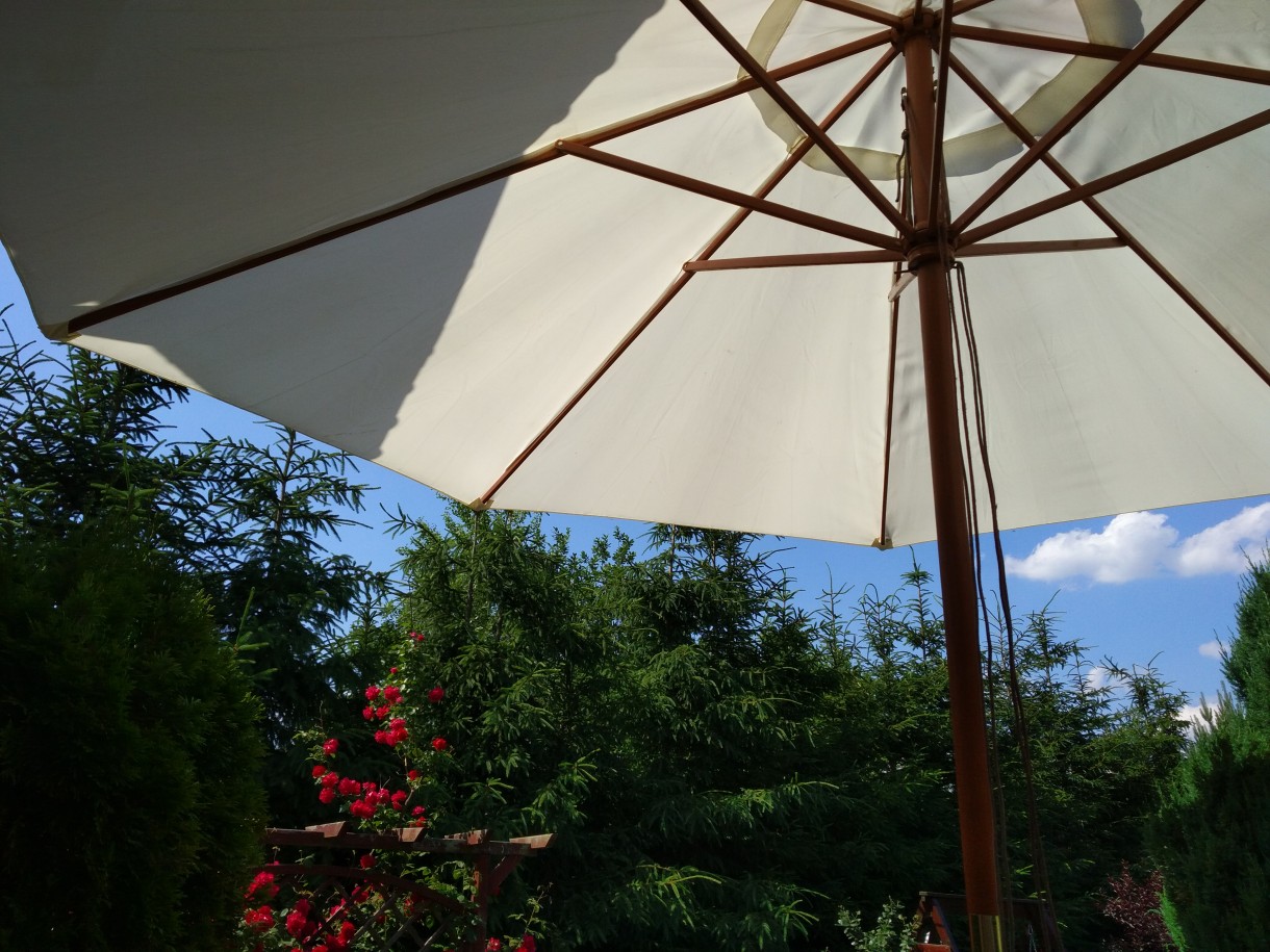 Ogród, Lato w naszym ogrodzie .... - w taki upał tylko pod parasolem