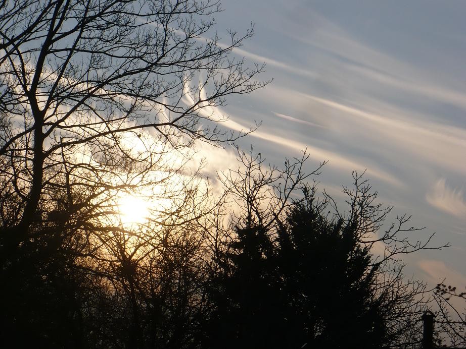 Pozostałe, Bombki z ptaszkami.............. - ...........i słonko wstaje............