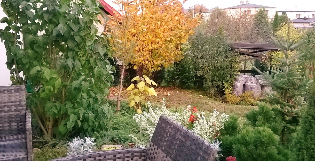Ogród, jesiennie
