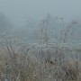 Leśne klimaty, WINTER ART ...