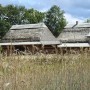 Rośliny, NIEZWYKŁA MOC KWIATÓW I ZIÓŁ ...CZ 1