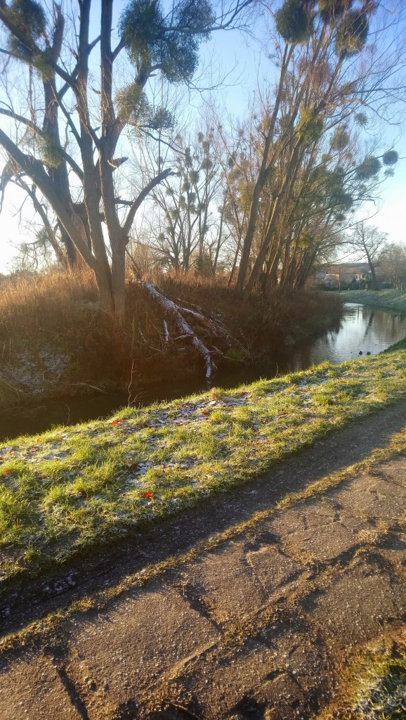 Dekoracje, Styczniowa..........Wszystkiego Najlepszego w Nowym Roku...... - Oby ten rok był wspaniały ...............oby każdy z Was spełniał swoje  marzenia ............Zdrowia , Szczęścia ,  Pomyślności  życzę Wam :)
Zima nad morzem jest piękna :)