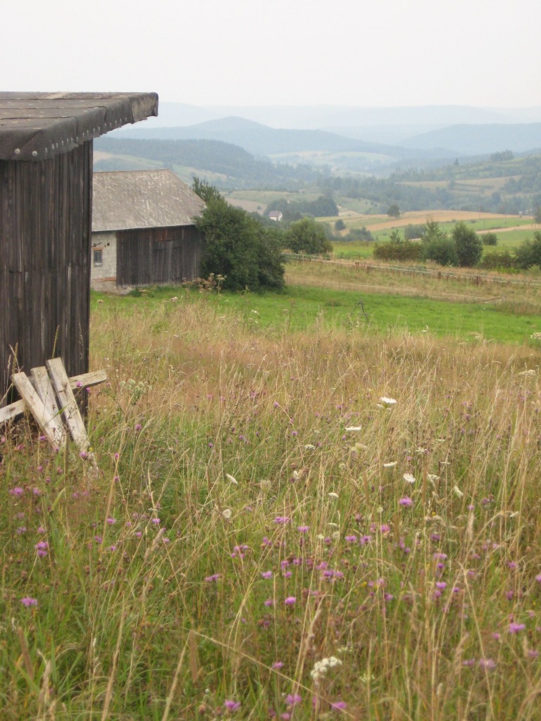 Pozostałe, Z cyklu cudze chwalicie... Bieszczady w moim obiektywie...