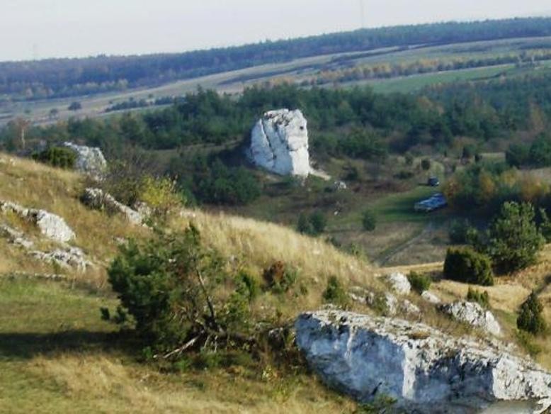 Pozostałe, JESIENNY  SPACER  PO RUINACH - SKULONY  KRÓLIK