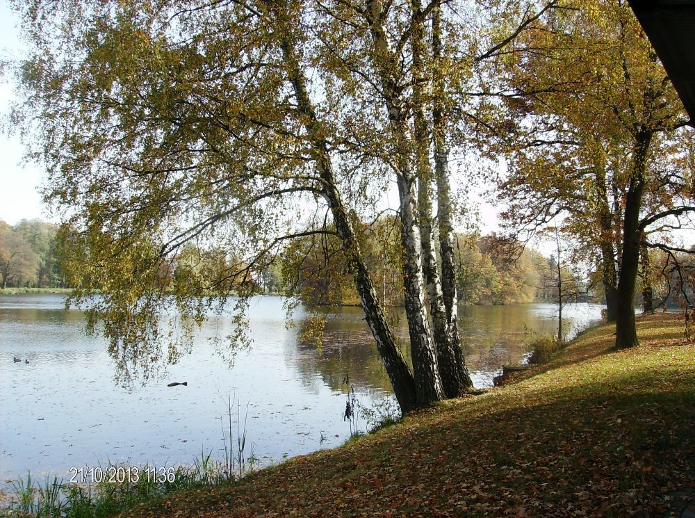 Pozostałe, PARK w ŚWIERKLAŃCU - Romantyczną przystań, cudowna roślinność