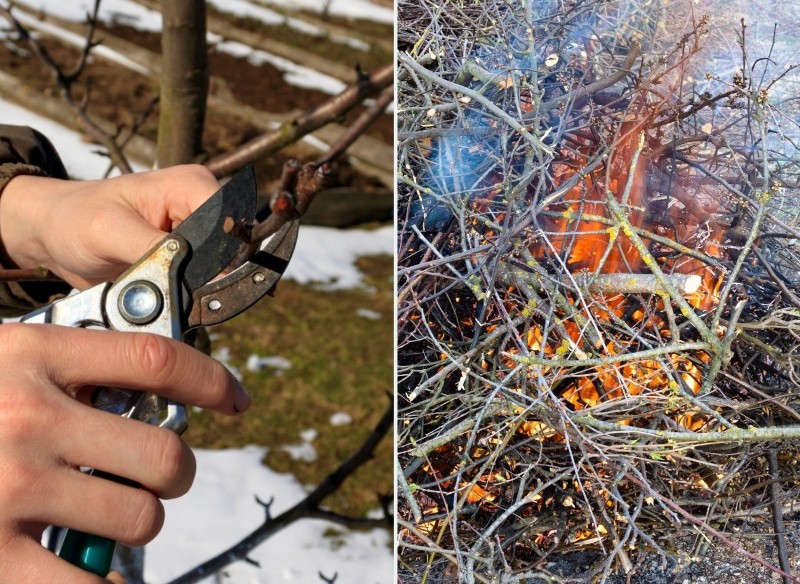 palenie gałęzi na posesji