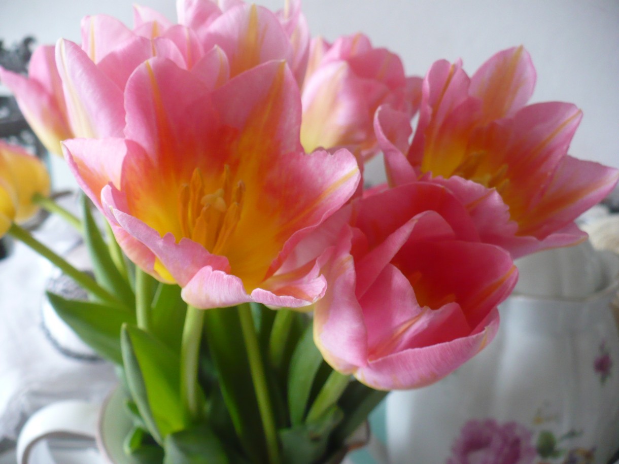 Pozostałe, Marcowa pastelowa galeria ............... - ........i tulipany wprowadzają wiosnę w domu...........