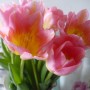 Pozostałe, Marcowa pastelowa galeria ............... - ........i tulipany wprowadzają wiosnę w domu...........