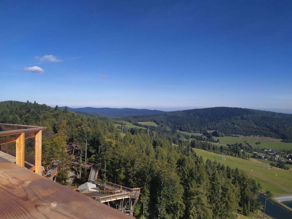 Leśne klimaty, Krynica Zdrój-Wieża Widokowa