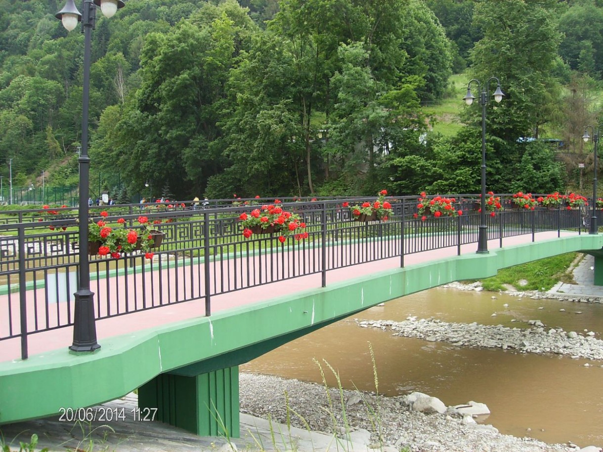 Pozostałe, CUDOWNA ROŚLINNOŚĆ NAD GRAJCARKIEM I DUNAJCEM W SZCZAWNICY