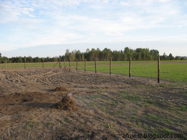 Leśne klimaty, Jak zmieniał się nasz ogród - cd. - Usuwanie chwastów z pola.