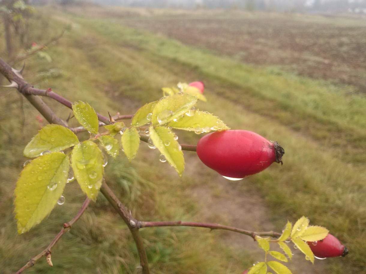 Pozostałe, Momenty nietrwałe.