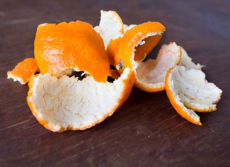 Świeżą lub suszoną skórkę z pomarańczy można zakopać w pobliżu hortensji ogrodowej, by obficie kwitła na niebiesko.