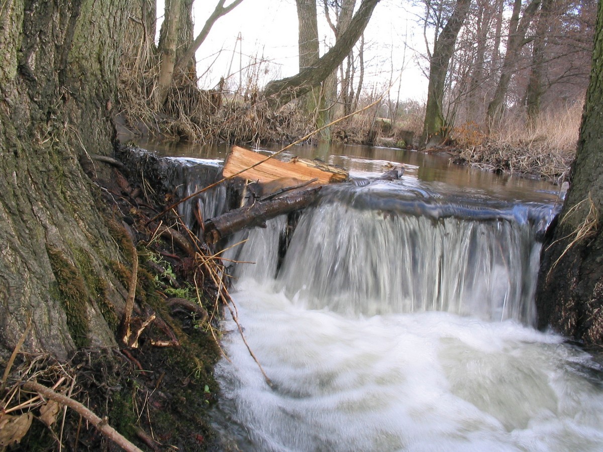 Pozostałe, Wiosna - Wiosna
https://atujest.blogspot.com/