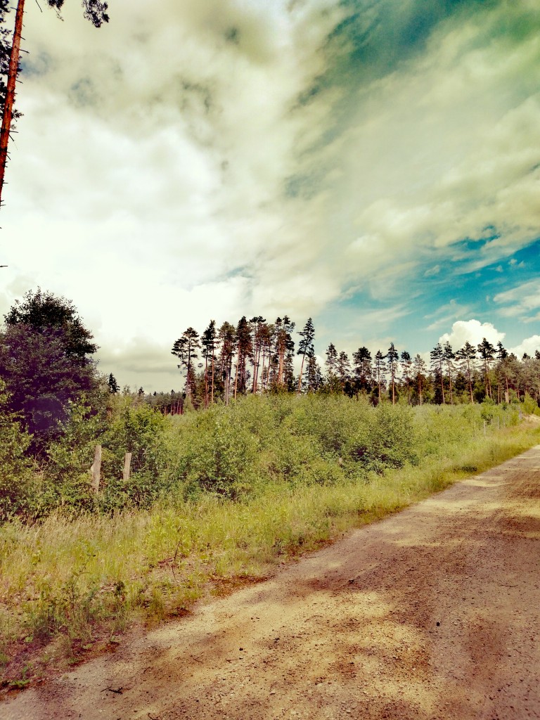 Leśne klimaty, Natura