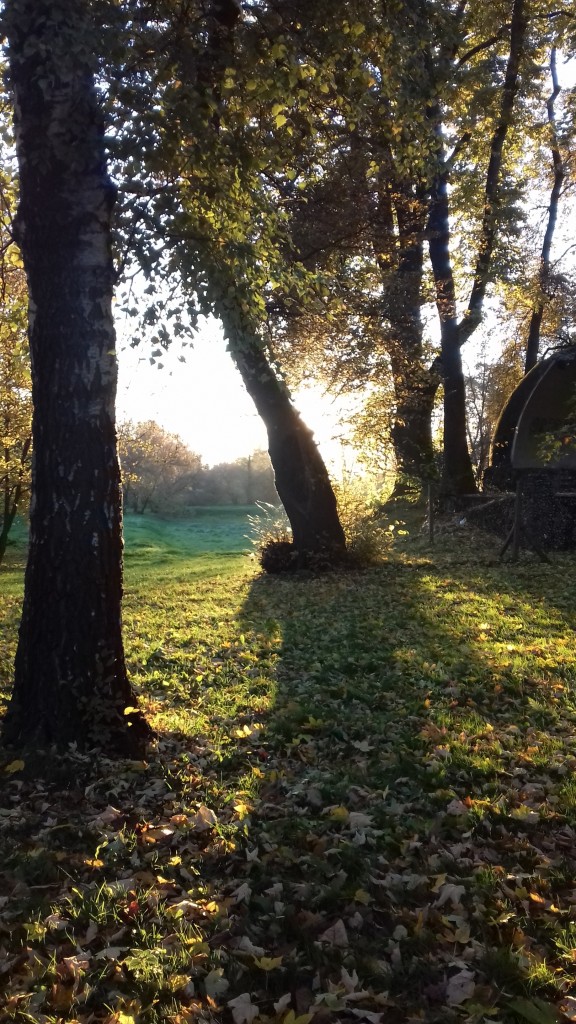 Leśne klimaty, Park jesienią