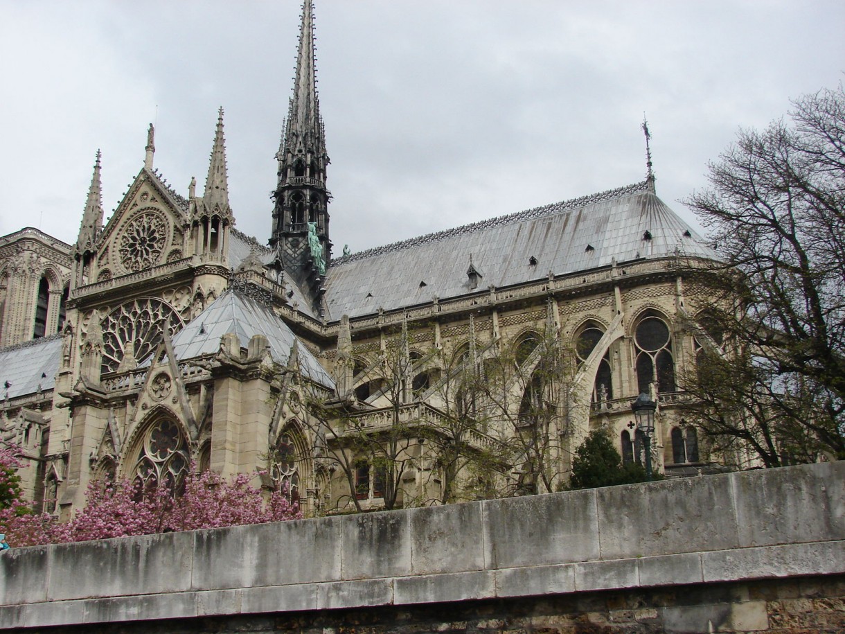 Pozostałe, Wiosna w ogrodach paryskich. - Notre Dame - widok ze statku