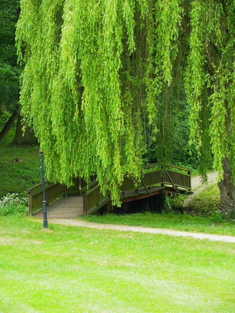 Pozostałe, Arboretum w Gołuchowie - Park i zabudowania cz 1 - Gołuchów