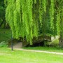 Pozostałe, Arboretum w Gołuchowie - Park i zabudowania cz 1 - Gołuchów