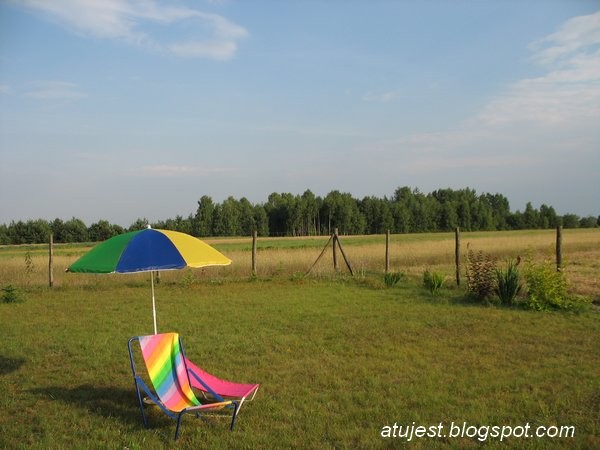 Leśne klimaty, Ogród leśny - cz. 4 - Trawa