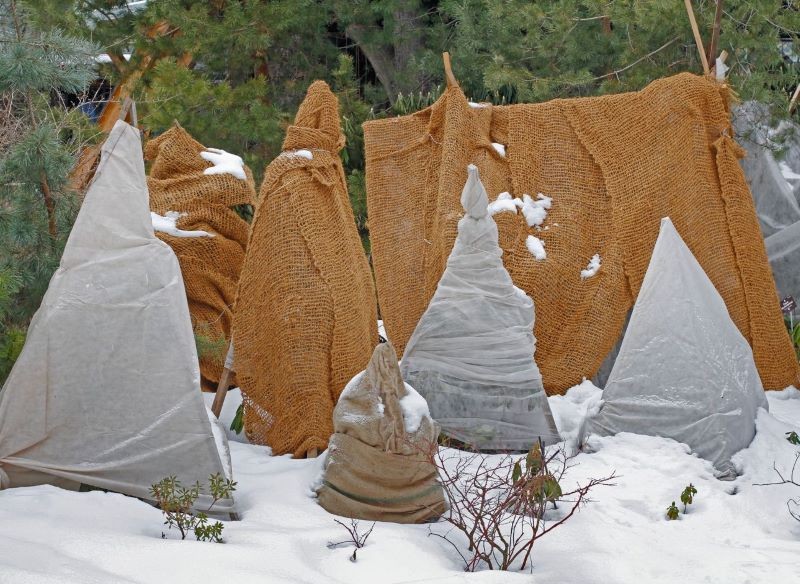 Maty i agrowłóknina pozwolą odpowiednio zabezpieczyć przed mrozem rośliny w ogrodzie.
