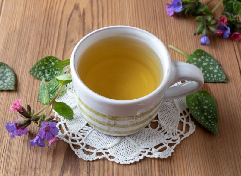 Z miodunki można przyrządzać lecznicze napary.