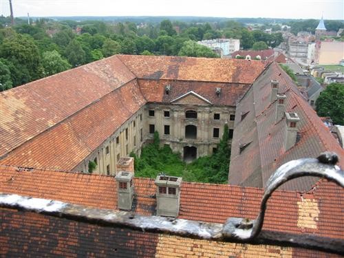 Pozostałe, Ruiny pałacowo-zamkowe w Żarach