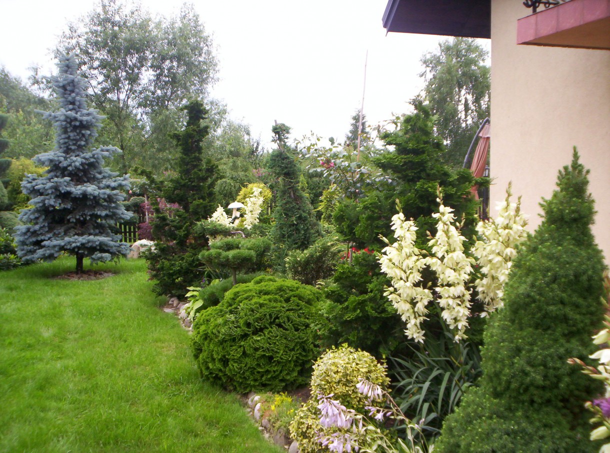 Ogród, TOPIARY