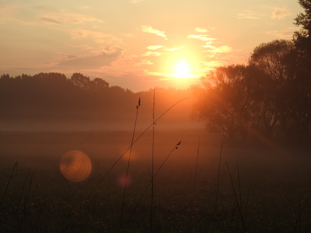 Leśne klimaty, WRZEŚNIOWY PORANEK :)