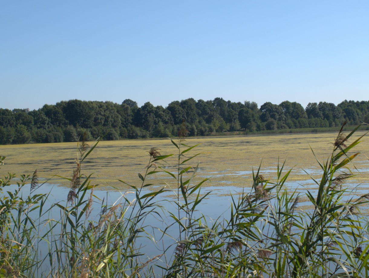 Pozostałe, Żegnaj lato na rok...